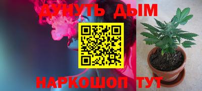 шишки Канаш