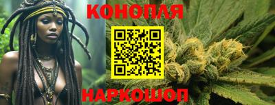 шишки Канаш