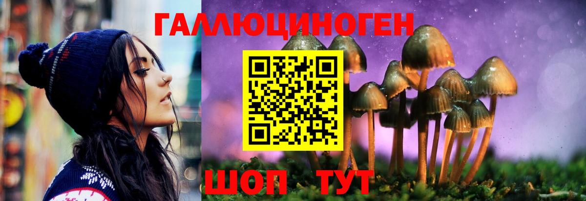 Псилоцибиновые грибы Magic Shrooms Кыштым